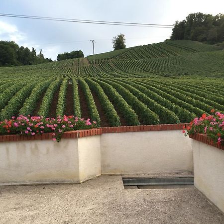 La Loge Du Vigneron Villa Vauciennes  Екстериор снимка