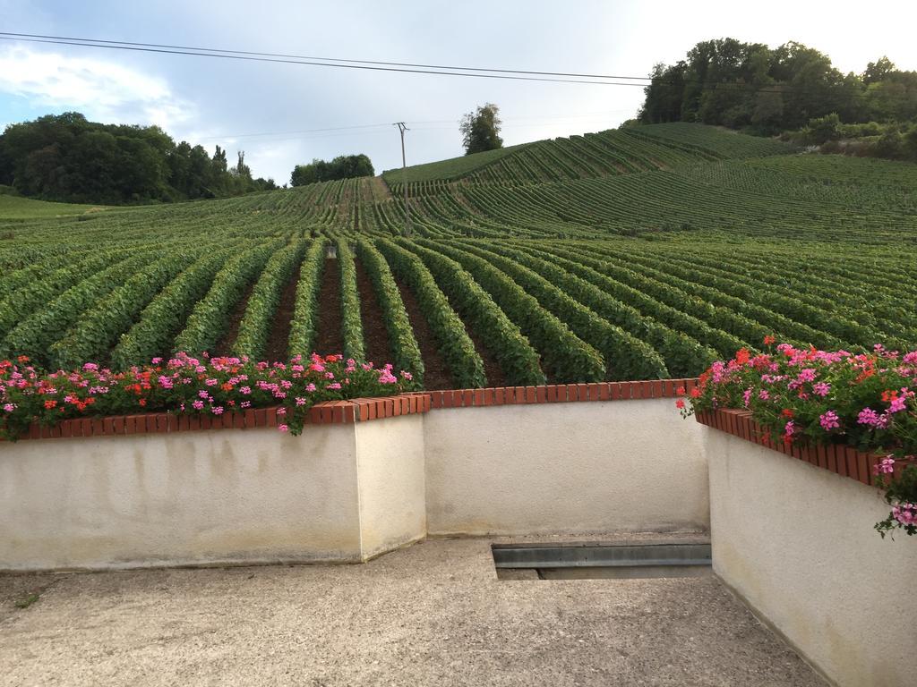La Loge Du Vigneron Villa Vauciennes  Екстериор снимка